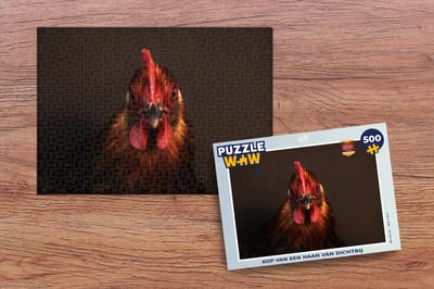Puzzel Kop van een haan van dichtbij - Legpuzzel - Puzzel 500 stukjes