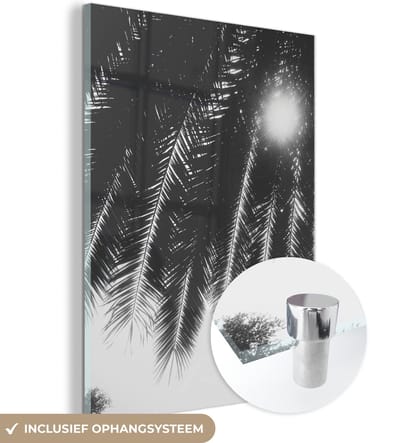 MuchoWow® Glasschilderij 30x40 cm - Schilderij acrylglas - Palmbladeren - Tropisch - Zon - Palmboom - Foto op glas - Schilderijen