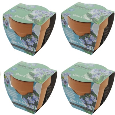 Vergeet me Nietje - Grow Gift - 4 Minipotjes voor kweken van Vergeet me Nietjes