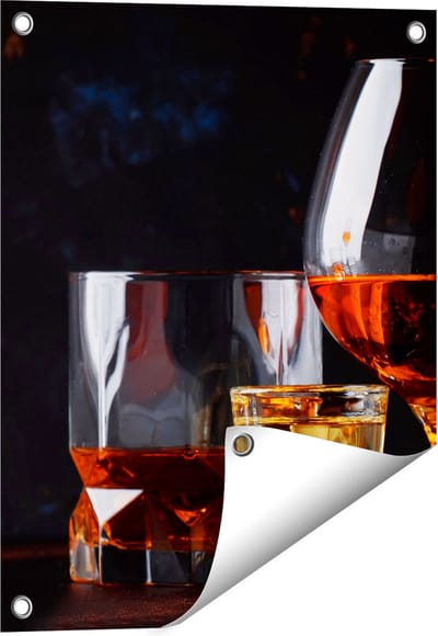 Gards Tuinposter Sterke Alcohol Drank - Glazen - 40x50 cm - Tuindoek - Tuindecoratie - Wanddecoratie buiten - Tuinschilderij
