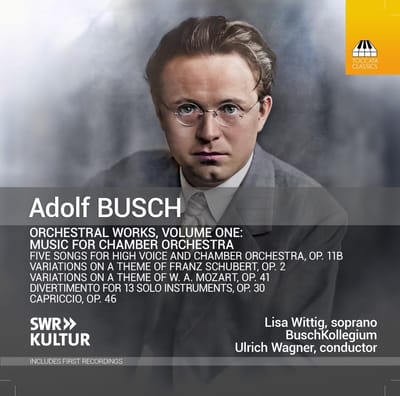 Lisa Wittig, Buschkollegium, Ulrich Wagner - Busch: Orchestral Works Volume One, Music For Chamber Orchestra (CD)