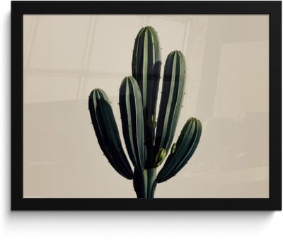 Poster in lijst - Fotolijst 40x30 cm - Posters - Cactus - Subtiel - Groen - Posterlijst zwart - Decoratie - Wanddecoratie woonkamer - Muurdecoratie slaapkamer