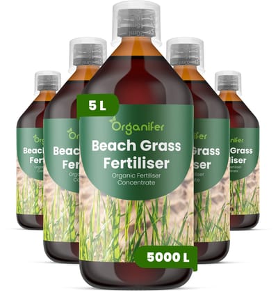 Vloeibare Meststof Voor Strandgras 5X1 L Voor 5000 L - Npk 2-1-8 - Vloeibare Meststof Voor Sterk Gras - Gezonde Wortels – Bevordert Vitaliteit - Verbeterde Bodemleven - Diepe Wortels - Organifer