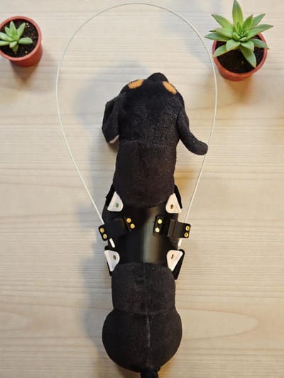 Hond brace, hond blind brace, hond blind, hond vest, hond blind spalk, hond blind steun maat S, Halsband voor dieren, Blinde honden hulp, hondbrace, revalidatie hulp, hond, hond harnesses, honden harnas, honden halsband, Hondentuigje, hond beugels..