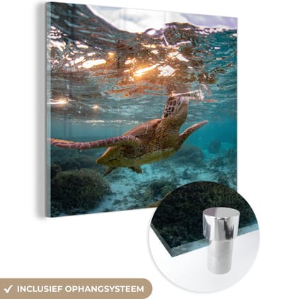 MuchoWow® Glasschilderij 90x90 cm - Schilderij acrylglas - Zee - Schildpad - Kleuren - Foto op glas - Muurdecoratie woonkamer - Wanddecoratie slaapkamer - Schilderijen