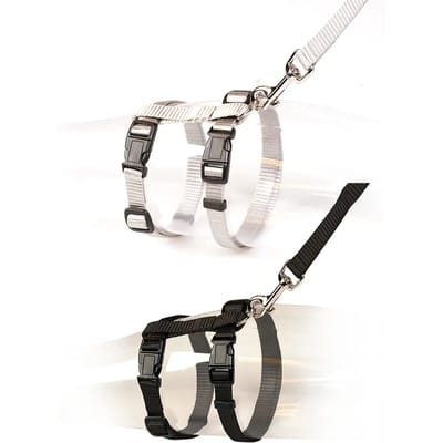 Duvo+ Grote Kat Wandelset Uni 30-50cm / 12mm - 125cm