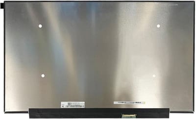 LCD scherm geschikt voor Medion Erazer Defender MD62522 (240Hz)