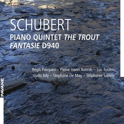 Luc Tooten, Ludo Joly, Pierre-Henri Xuereb, Stéphane De May - Schubert: Piano Quintet - Fantasie D940 (CD)