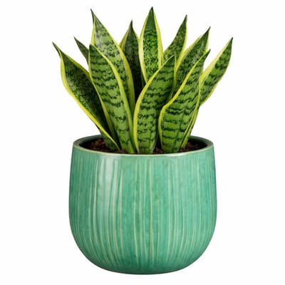 Mica Decorations Plantenpot - keramiek - groen glans / ribbels - D18 x H16 cm - bloempot Pablo