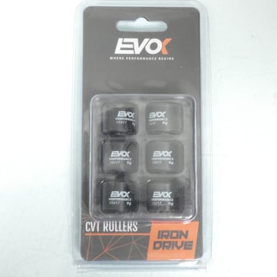Galet rouleau de variateur EVOK pour scooter Gilera 125 Nexus 2007 à 2020 19x17 9Grs / 100480075 Neuf