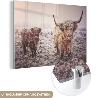 MuchoWow® Glasschilderij 60x40 cm - Schilderij acrylglas - Schotse Hooglander - Winter - Sneeuw - Koe - Weiland - Bruin - Foto op glas - Schilderijen