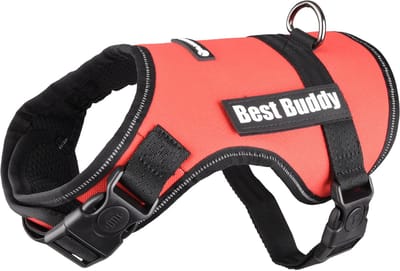 Flamingo Uranus - Harnas Honden - Harnas Best Buddy Uranus Rood S 50-70cm 25mm - 1st - 122738 - 1st