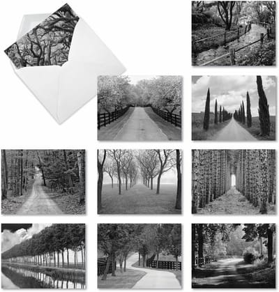 Wenskaarten Blanco - Notitiekaarten Assorti - Briefpapier Schrijven - Zwart-Wit Landschap Foto - 10 x 13 cm - Meerkleurig