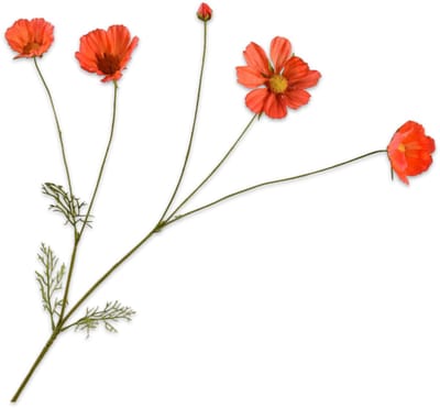 Silk-ka Kunstbloem-Zijden Bloem Cosmos Tak Oranje-Rood 92 cm