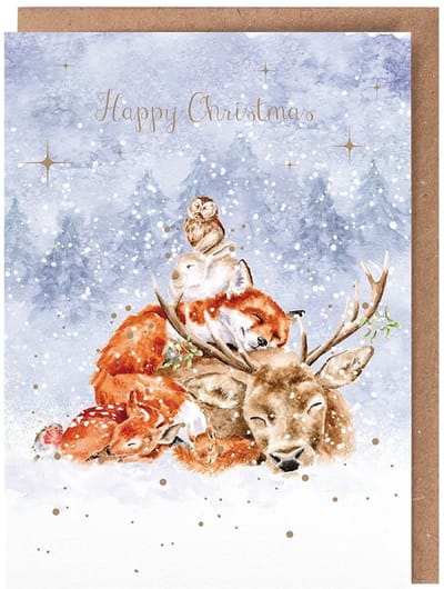 Wrendale Kerstkaarten Notepack - 8 stuks - 'Comfort and Joy' Animal Christmas Card Pack