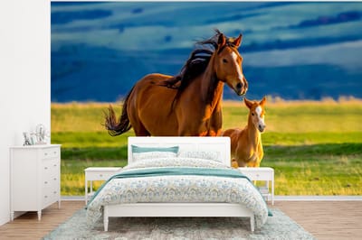 Behang kinderkamer - Fotobehang Paarden - Gras - Dieren - Landschap - Natuur - Breedte 400 cm x hoogte 300 cm - Kinderbehang