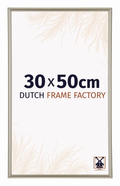 Fotolijst 30x50 cm - Kunststof - Champagne - Angers