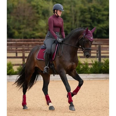 Paardenlaarzen Premier Equine Air-Tech Sports Medecine