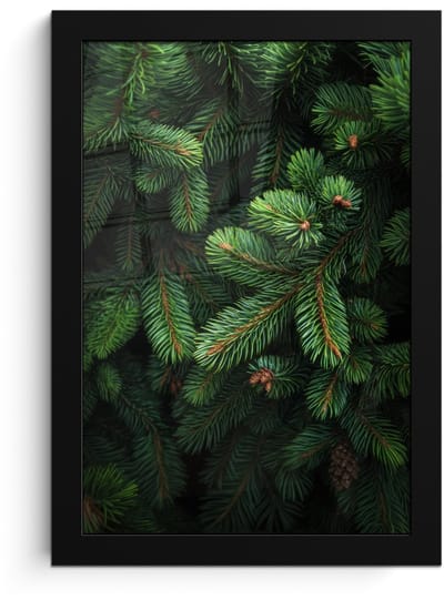 Poster in lijst - Fotolijst 20x30 cm - Posters - Sparrentakken - Knoppen - Naalden - Groen - Posterlijst zwart - Decoratie - Wanddecoratie woonkamer - Muurdecoratie slaapkamer