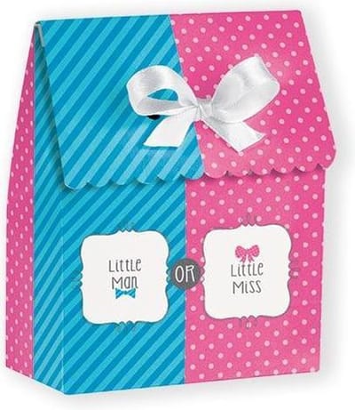 Uitdeelzakjes Gender Reveal Party