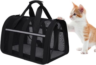 Opvouwbare kattenmand - Gevoerd - Opvouwbare reistas - Kleine reistas voor katten en honden - Reisaccessoire voor huisdieren - Ontworpen voor reizen/uitjes - Grote capaciteit - Geschikt voor alle seizoenen - Ademend - Zwart - 10-pack
