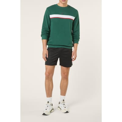 FILA Sagano Regular Taped Crewneck Sweatshirt Posy Green Taglia: S | Maglioni a maglia Outlet | Uomo | Verde