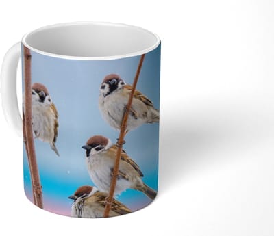 Mok - Koffiemok - Vogels - Mus - Dieren - Takken - Mokken - 350 ML - Beker - Koffiemokken - Theemok