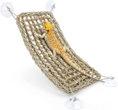 Bearded Dragon Hangmat Reptielenligstoel voor kameleon, hagedissen, gekko, slangen, lguana reptielen, gekko's