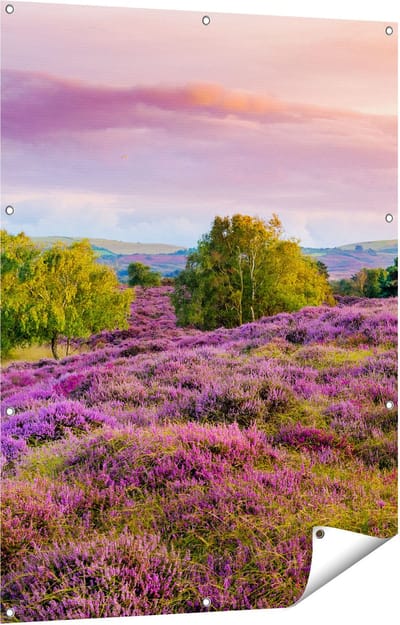 Gards Tuinposter Paarse Weide - 90x120 cm - Tuindoek - Tuindecoratie - Wanddecoratie buiten - Tuinschilderij