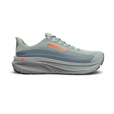 Brooks Ghost 17 GTX Hardloopschoenen Heren