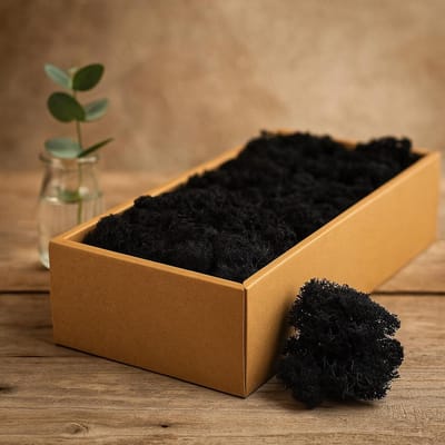 Zwart rendiermos - Mos decoratie - Natuurlijke decoratie - Interieuraccessoire - Groenblijvende plant - Sfeervolle aankleding