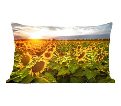 Sierkussens - Kussentjes Woonkamer - 50x30 cm - Bloemen - Zonnebloem - Lucht
