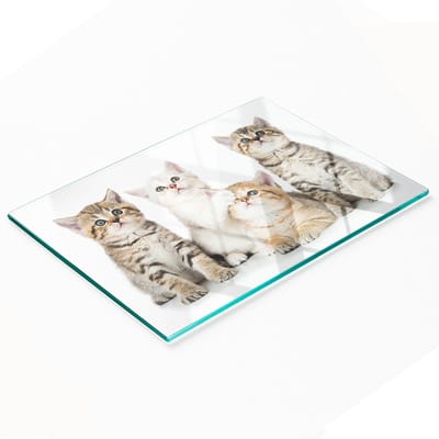 Keukenplank van gehard glas met decoratieve afbeeldingen van kleine katjes, 80x52 cm