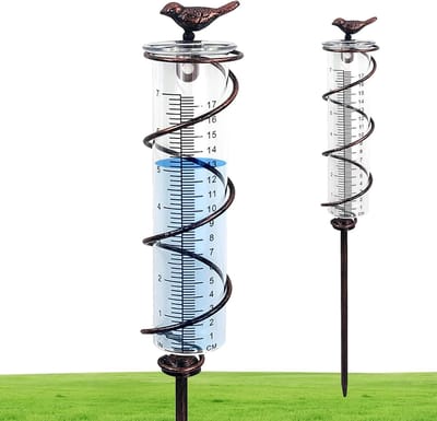 Glazen Regenmeter - Neerslagmeter Tuin - Weer Meten - Vorstbestendig Ontwerp - 48cm Hoog - Transparant