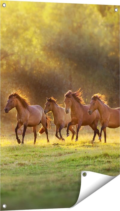 Gards Tuinposter Kudde Bruine Paarden in de Wei - 60x90 cm - Tuindoek - Tuindecoratie - Wanddecoratie buiten - Tuinschilderij