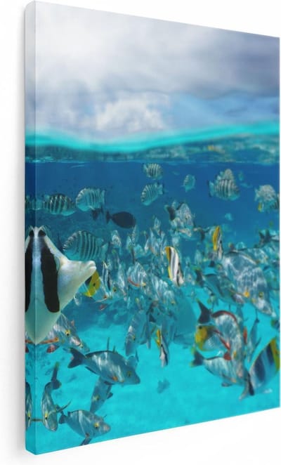 Artaza Canvas Schilderij Zee En Strand - 30x40 cm - Klein - Wanddecoratie Onderwaterwereld - Muurdecoratie Vissen - Schilderijen Op Canvas Tropisch