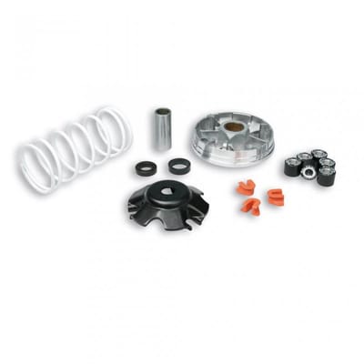 Variateur Malossi pour Scooter Gilera 50 Runner Pure Jet 2002 à 2010 Neuf