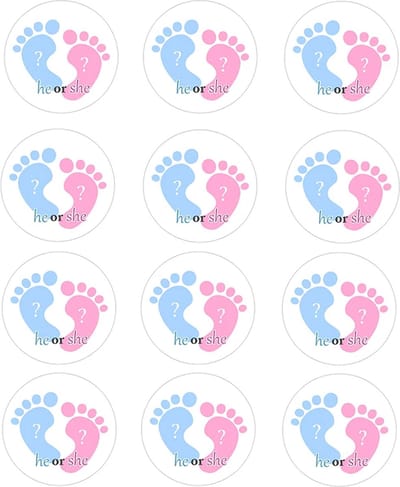 DW4Trading Geboorte Sticker He Or She Blauw-roze - Envelop - Sluitsticker - Babyshower - 24 Stuks – Ø 4,5 cm