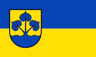 Vlag Enger 100x150cm