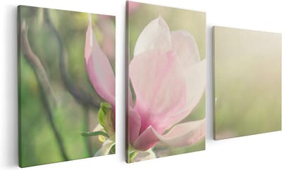 Artaza Canvas Schilderij Drieluik Roze Magnolia Bloem  - 120x60 - Foto Op Canvas - Canvas Print