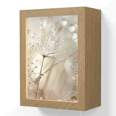 Wandlamp 15x20 cm - Oplaadbaar - Natuur - Bloemen - Druppels - Regen - Wandlampen binnen woonkamer - Slaapkamer lamp met kabel - Decoratieve nachtlamp - Vloerlamp snoer