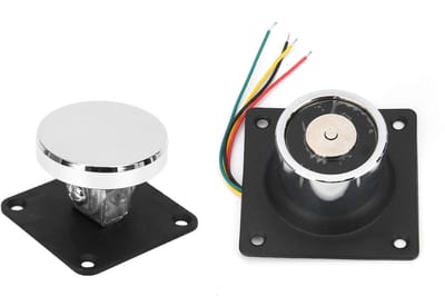 Dailygoody - Deurstopper - Sterke Zuigkracht - Duurzaam Gegoten Staal - 12V-24V - Mute Muur - Geschikt voor Houten en IJzeren Deuren - 60KG