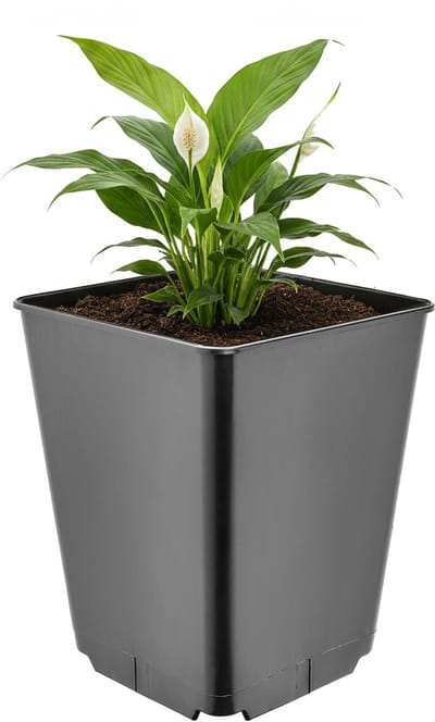Garronda Hoge vierkante kunststof bloempot met drainagegaten voor tuin (Zwart, 16 x 16 x 20 cm (3,5L)) GD-KW-HS