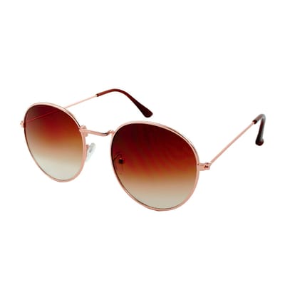 LOUD AND CLEAR® - Zonnebril - Ronde Zonnebril - Festival Bril - Retro - Heren - Dames - Goud - Bruin