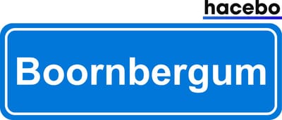 Hacebo - Plaatsnaam Sticker - 29x10 CM - Boornbergum sticker - Verkeersborden sticker - grappige cadeaus - Boornbergum
