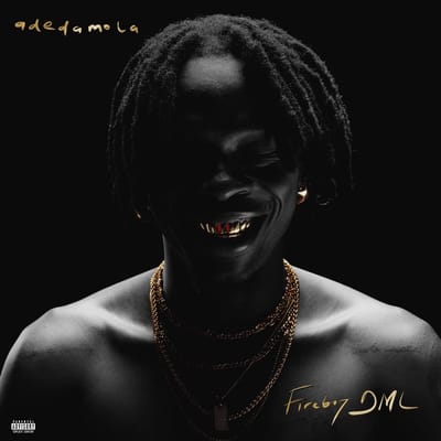 Fireboy DML - Adedamola (LP)