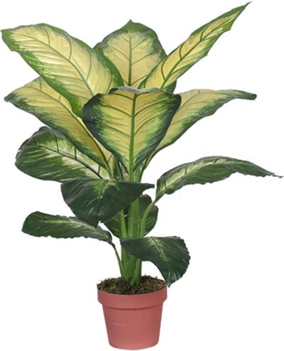 Kunst Dieffenbachia Dotied - 105 cm