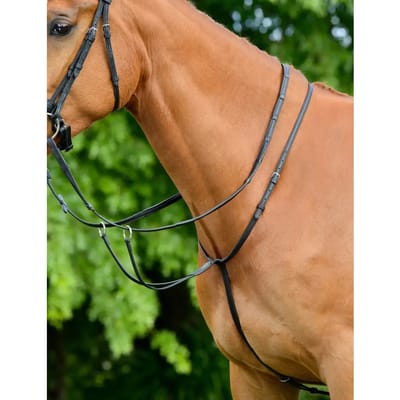Plein martingale voor racepaarden Collegiate Comfitec Opulux