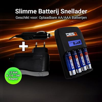Desq 80021 Slimme Snellader AA/AAA – Binnen 1 uur opgeladen | 4 Onafhankelijke Laadkanalen | Inclusief 12V Auto- en 100-240V Adapter