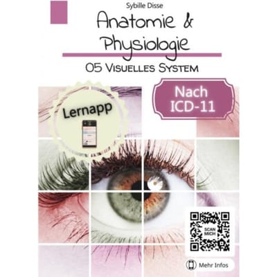 Anatomie & Physiologie Band 05: Visuelles System - Sybille Disse
